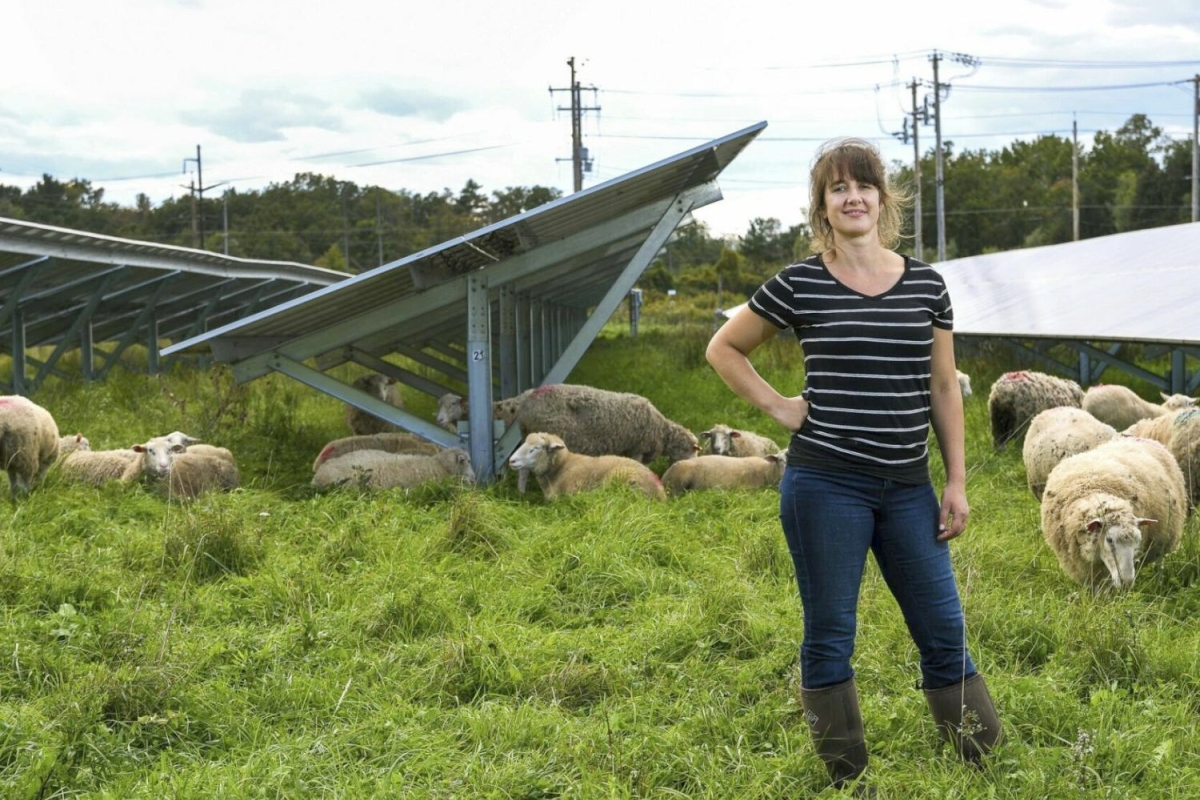 EarthTalks: Cornell researcher to discuss co-locating solar arrays on farmland
