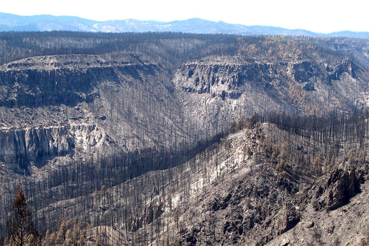 Hotter and drier conditions limit forest recovery from wildfires