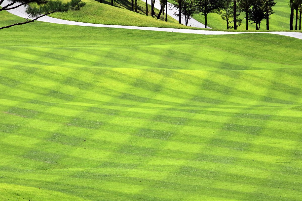 Lawn story: Turfgrass data may improve urban greenhouse gas emission estimates