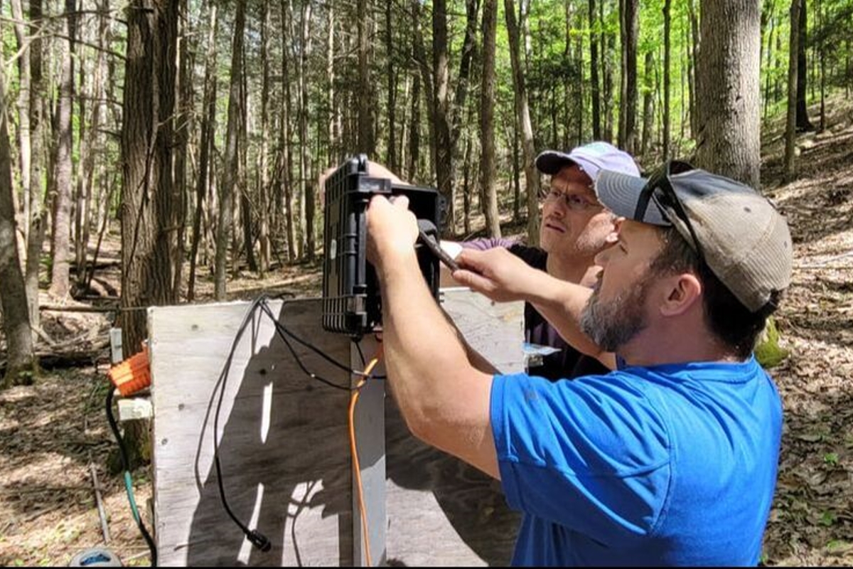 New BirdNet unit installed within Susquehanna Shale Hills Critical Zone Observatory near Shaver Creek