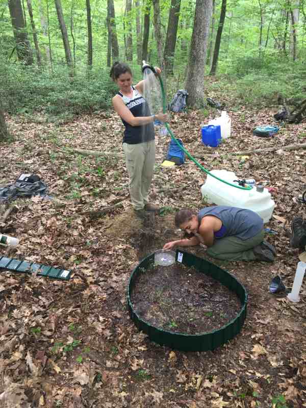 CZO REU Summer Scholar 2016