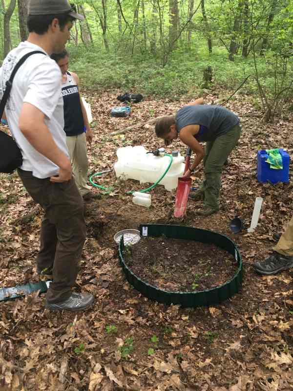 CZO REU Summer Scholar 2016