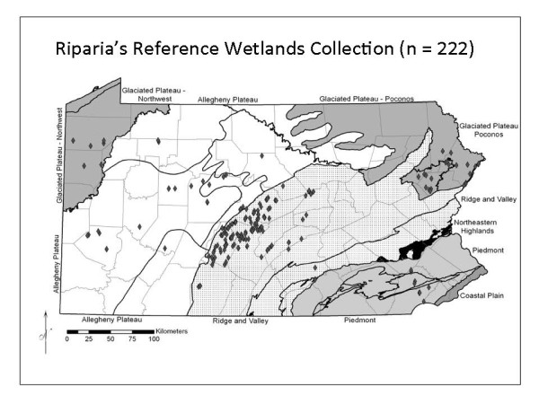 Riparia presentation page 24