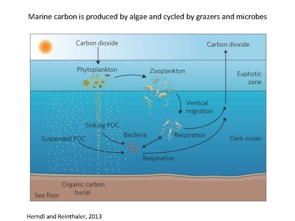 EarthTalks Fall 2014 - Freeman presentation - page 03