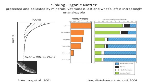 EarthTalks Fall 2014 - Freeman presentation - page 05