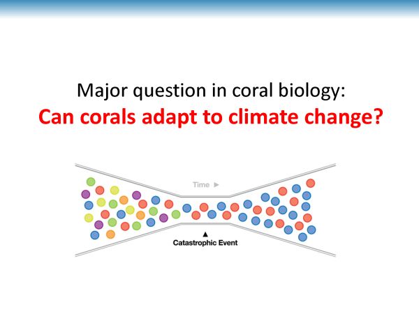 EarthTalks Fall 2014 - Parkinson presentation - page 19